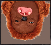 New Fuggs on the Block